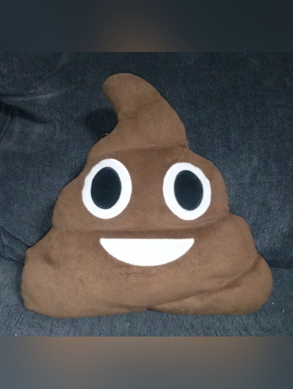 Brown Poop Emoji Accent Pillow - Plush Decorative Cushion